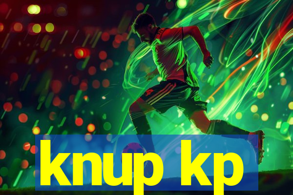 knup kp-t89 driver